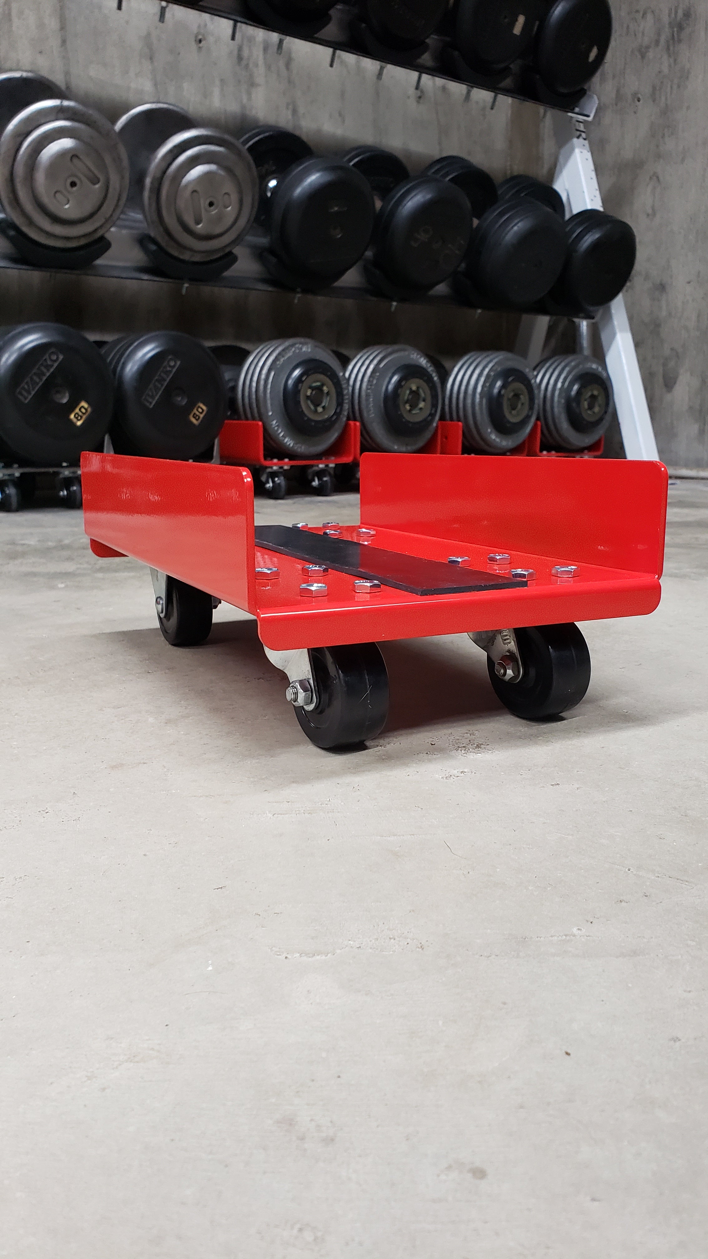 Weight Skates | Dumbbell Storage