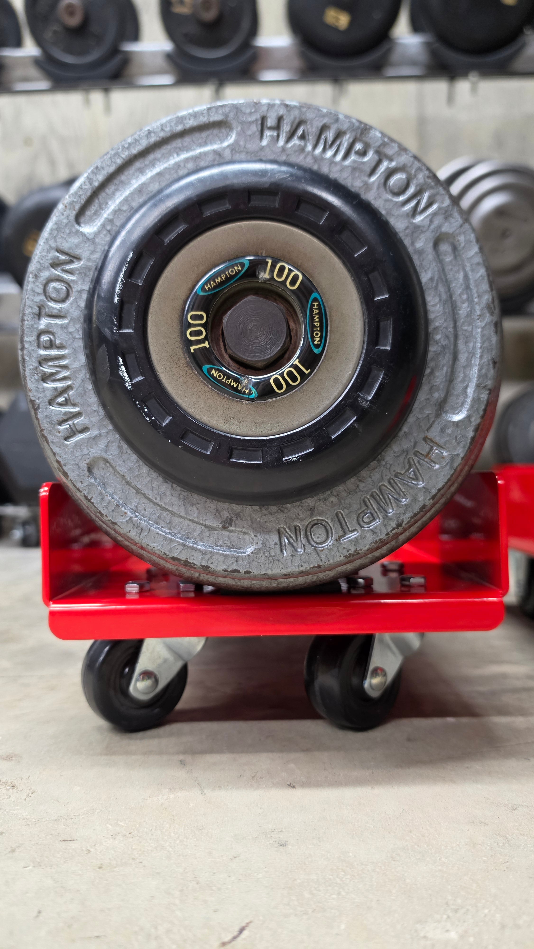 Weight Skates | Dumbbell Storage