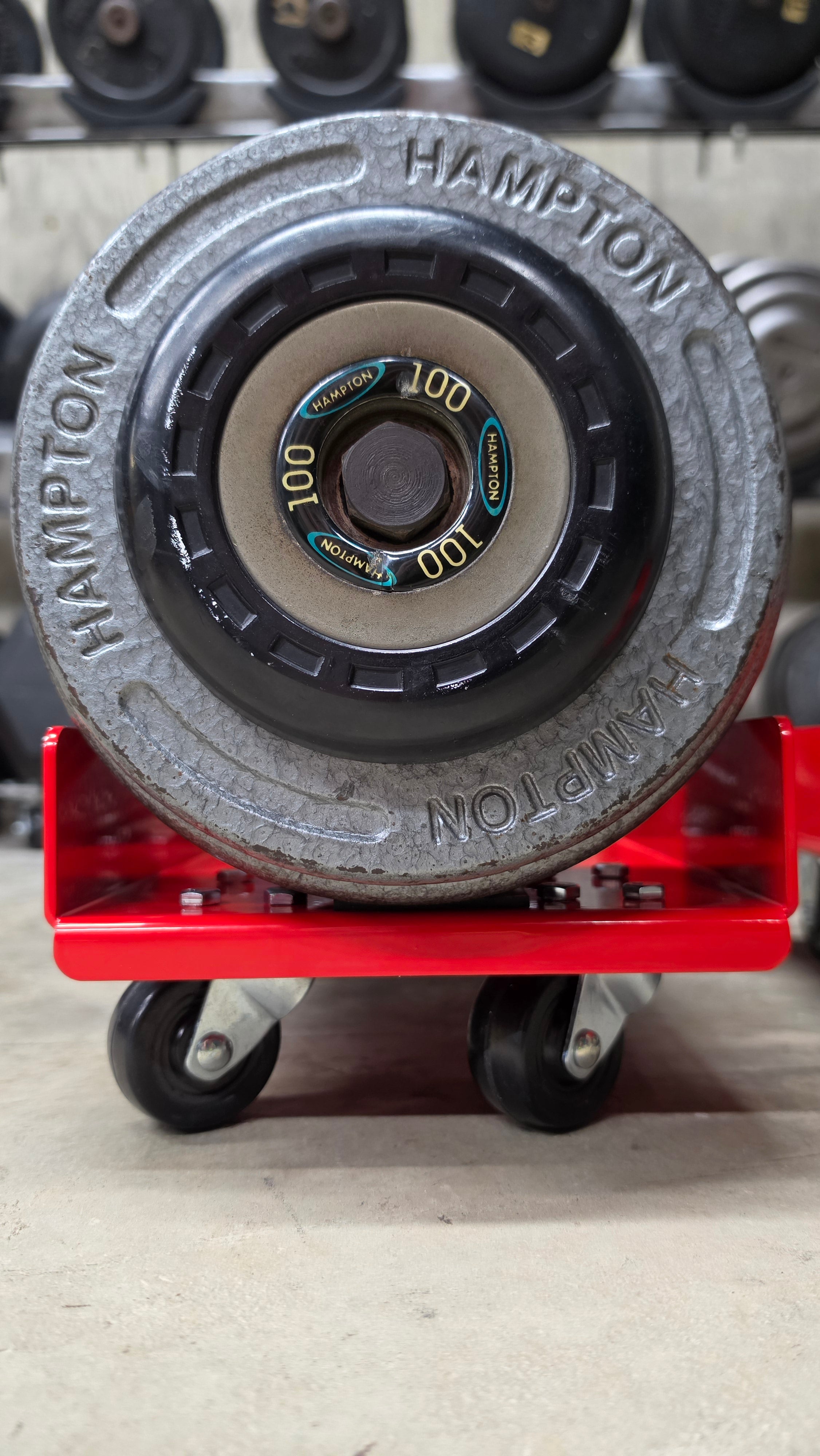 Weight Skates | Dumbbell Storage