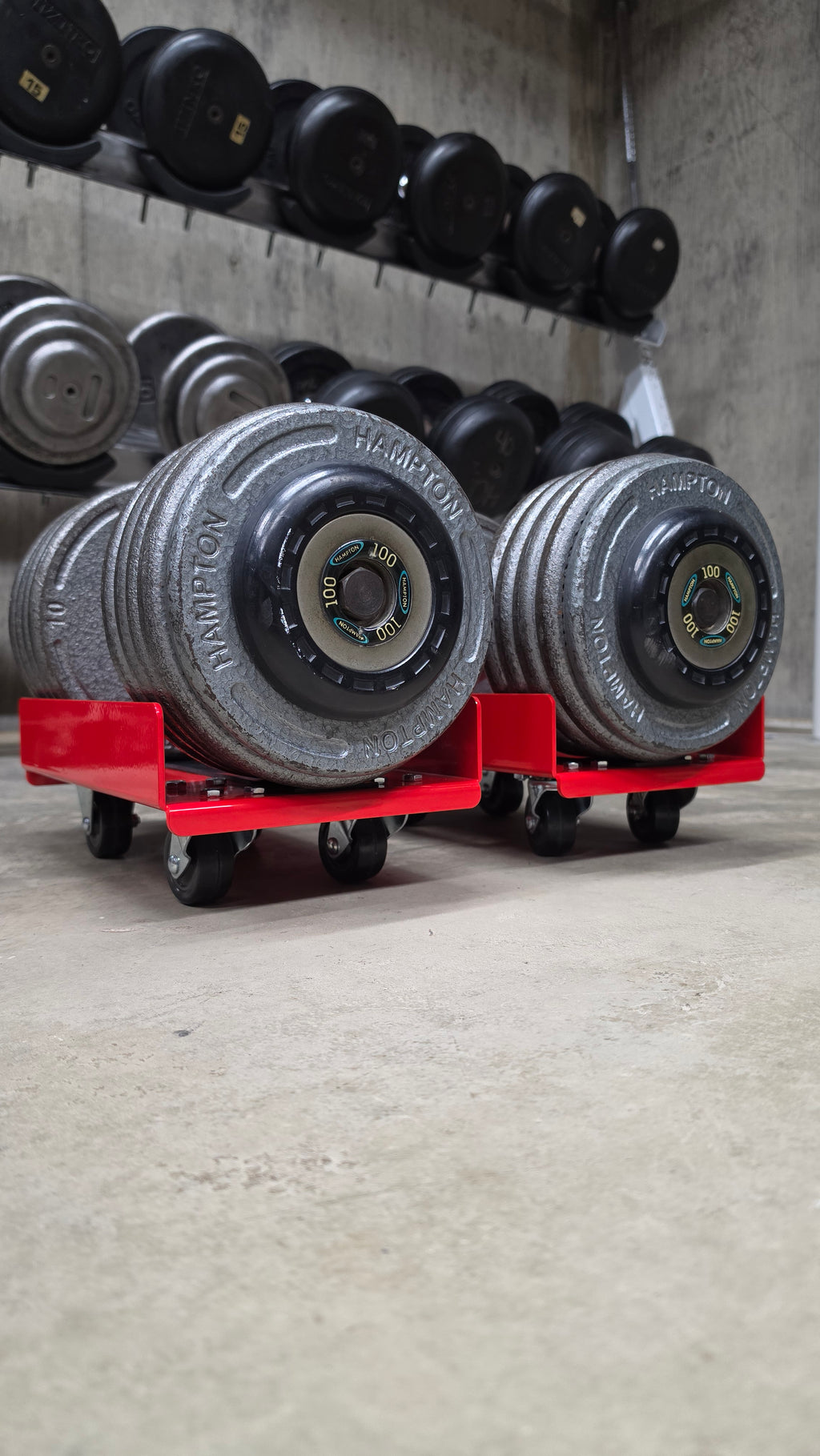Weight Skates | Dumbbell Storage