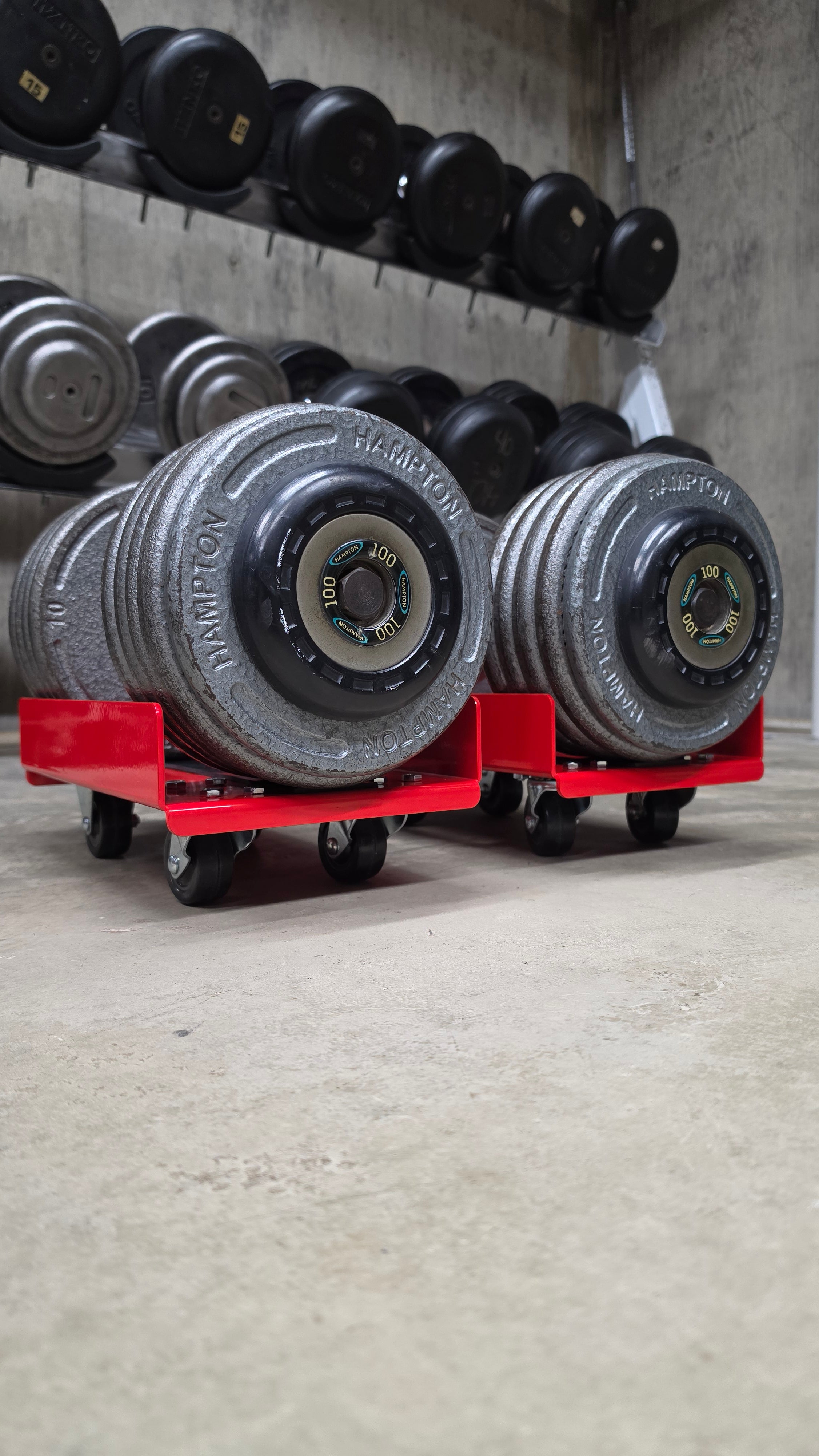 Weight Skates | Dumbbell Storage