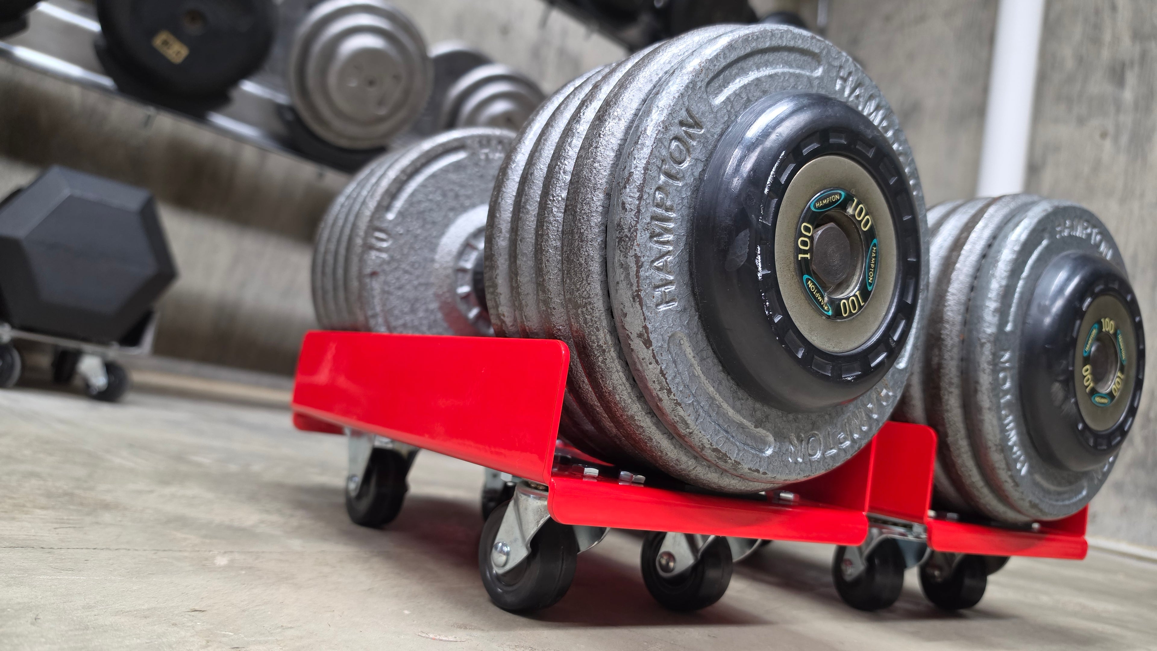 Weight Skates | Dumbbell Storage